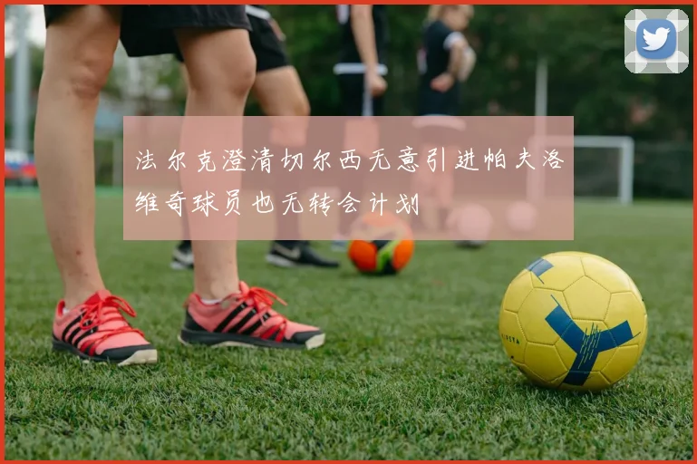 法尔克澄清切尔西无意引进帕夫洛维奇球员也无转会计划
